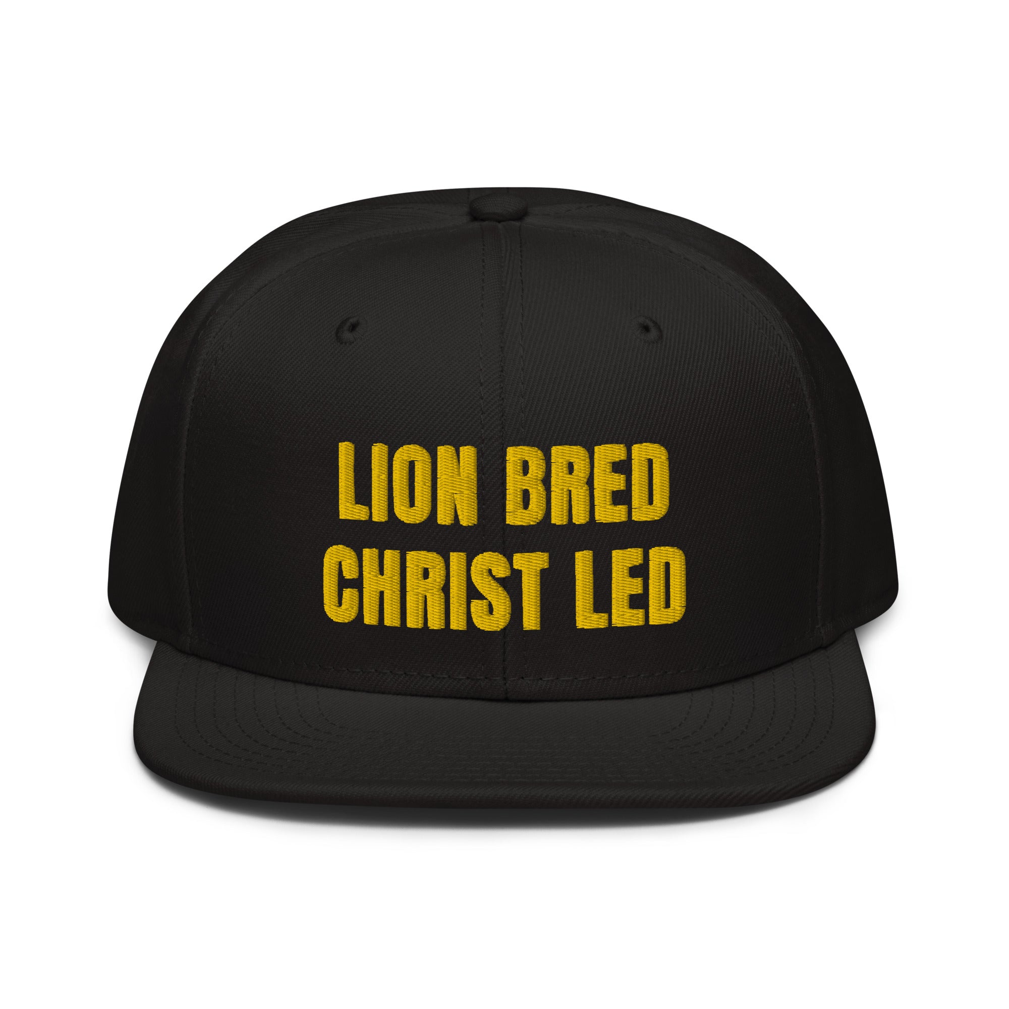 LION BRED CHRIST LED TM – Embroidered Hat Snapback Puff Tees 3D Lionborn